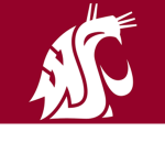 da cougar studio 101