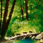 <'~PeachClan~'>