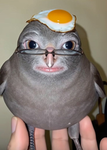 Muchixyboy