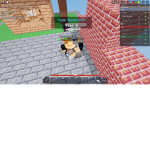 bedwarproplayer