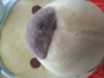 ##### the poopoo
