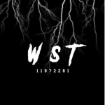 wst 多