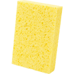 The Sponge Of the god
