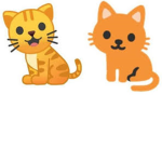 kittystar