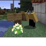 muff1ns