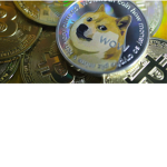 Doge club >:(