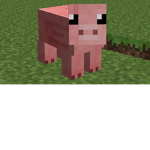 pigey