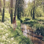 The Fae (Hang Out)