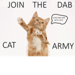 WE LIT! CATS #CAT ARMY