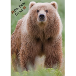 Da Bear groupp