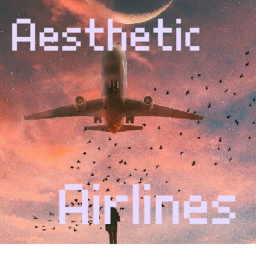 Aesthetic Airlines™