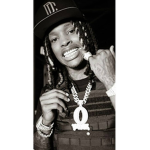 Bloodgang bg