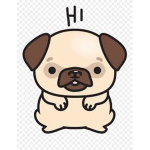 PUGS ARE AMAZING SO LOVE THEM