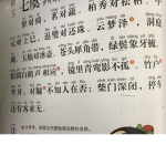狗头猫猫帮