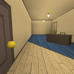 Dumy Meeting