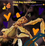 !Stick Bug Appreciation Club¡