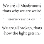 Weird Indie Mushrooms