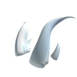 Horns of Purus Priamus