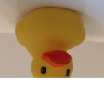 Rubber duck dudes