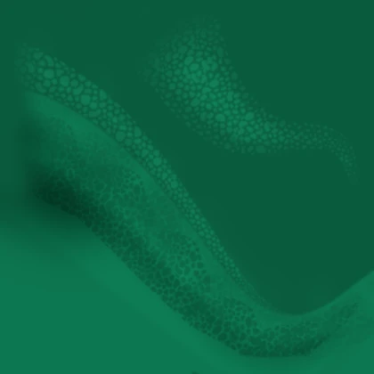 Leak asset thumbnail