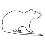 Rats inc...