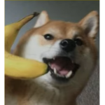 KEIISDUCK