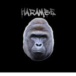 #HARAMBE GANG🤘🏾
