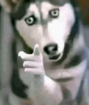 Thedarklifefan