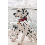 *~ᴏᴘᴀʟs ᴏᴜᴛғɪᴛᴛᴇʀs~*