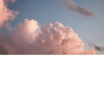 the cloudy fans