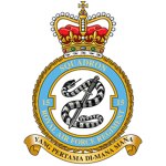 [RAF] No.15 RAF Regiment Squadron