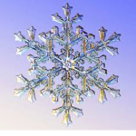 SnowFlake Café®