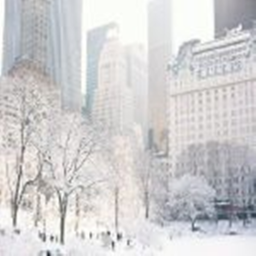 Pastel's Winter Wonderland! ♡