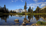 calming nature