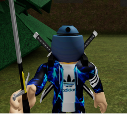 FLAG FIGHTS