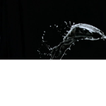 gushing competition