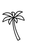 .tropical customs