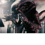 xenomorph Official group