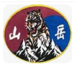 1st Mountain Brigade | 1st MB