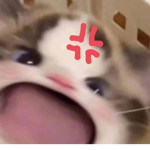 Children of Havoc