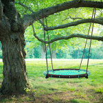 BTT (Bestie Tree Time)