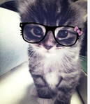 sunnies angelz