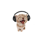 CatsOnlyOnTT