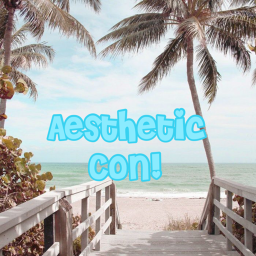 Aesthetic Con!