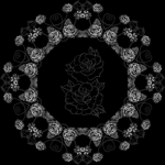 the black rosesss