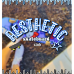 Aesthetic Skateboard Club