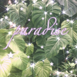 paradise’s meet & greet