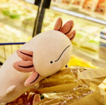 Axolotl inside of a grocery store