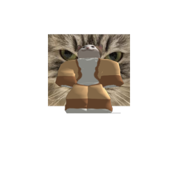 cats community