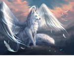Angle Wolf Studios